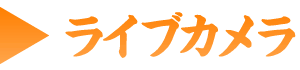 ライブカメラ